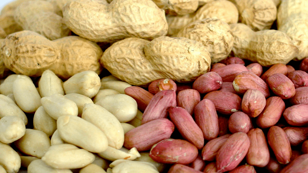 La puissance des cacahuètes et des amandes