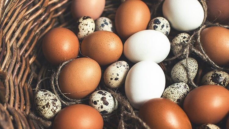 Les œufs de caille et les œufs doivent être ajoutés à l'alimentation des hommes pour maintenir leur puissance. 