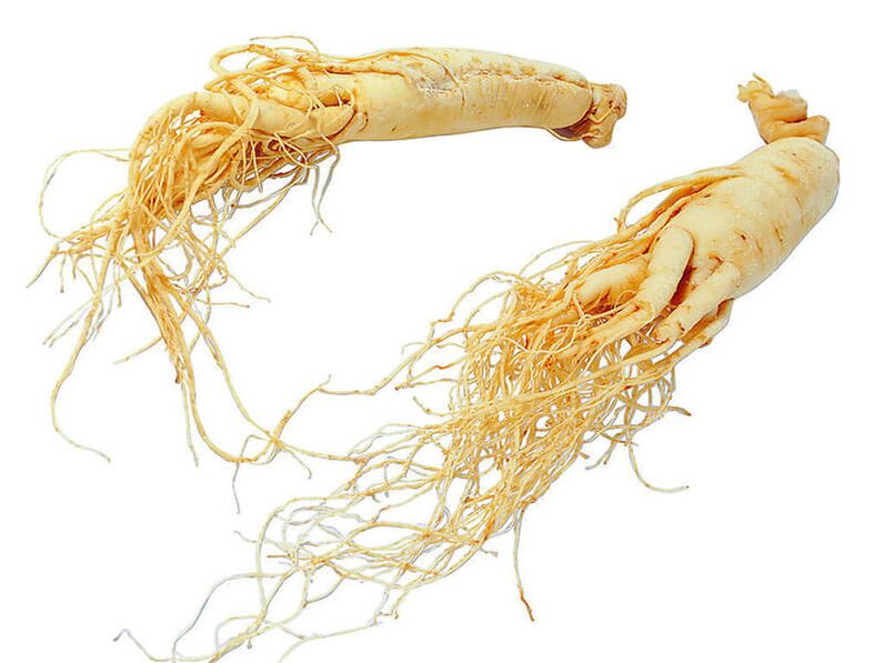 Avantages de la racine de ginseng